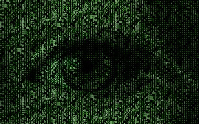 cybercory cybersecurity awarness (5)