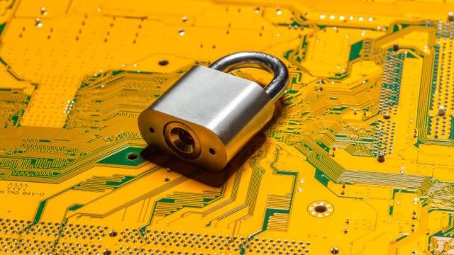 What Is Ransomware? Held Hostage in the Digital Age: Understanding the Threat